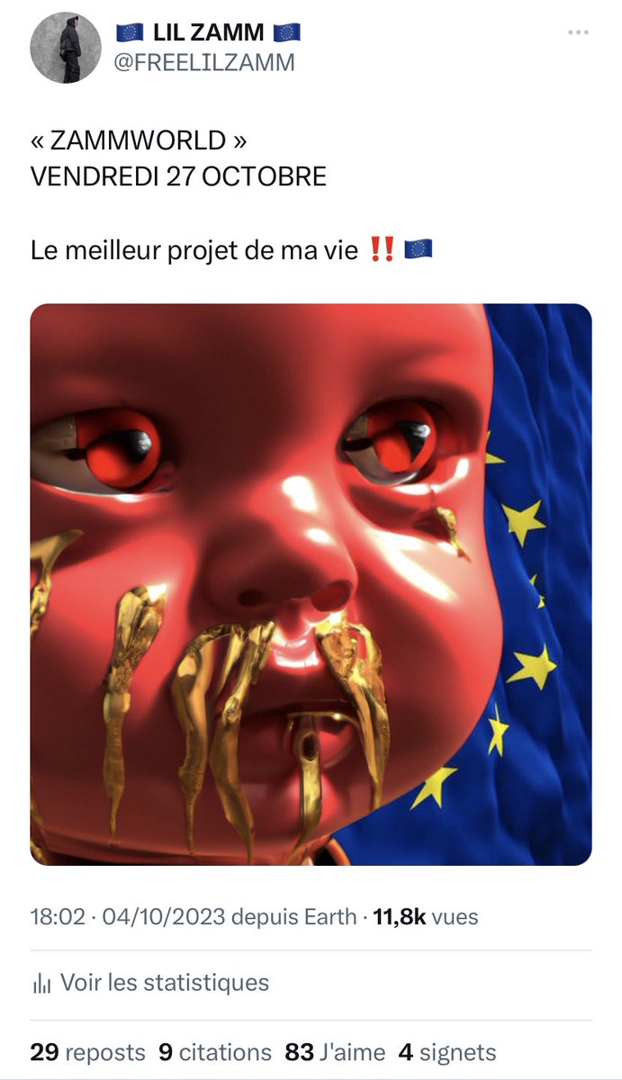 🇪🇺 LIL ZAMM 🇪🇺 tweet media