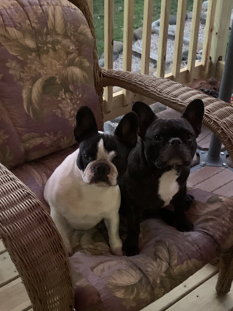 Mike Frank tweet media