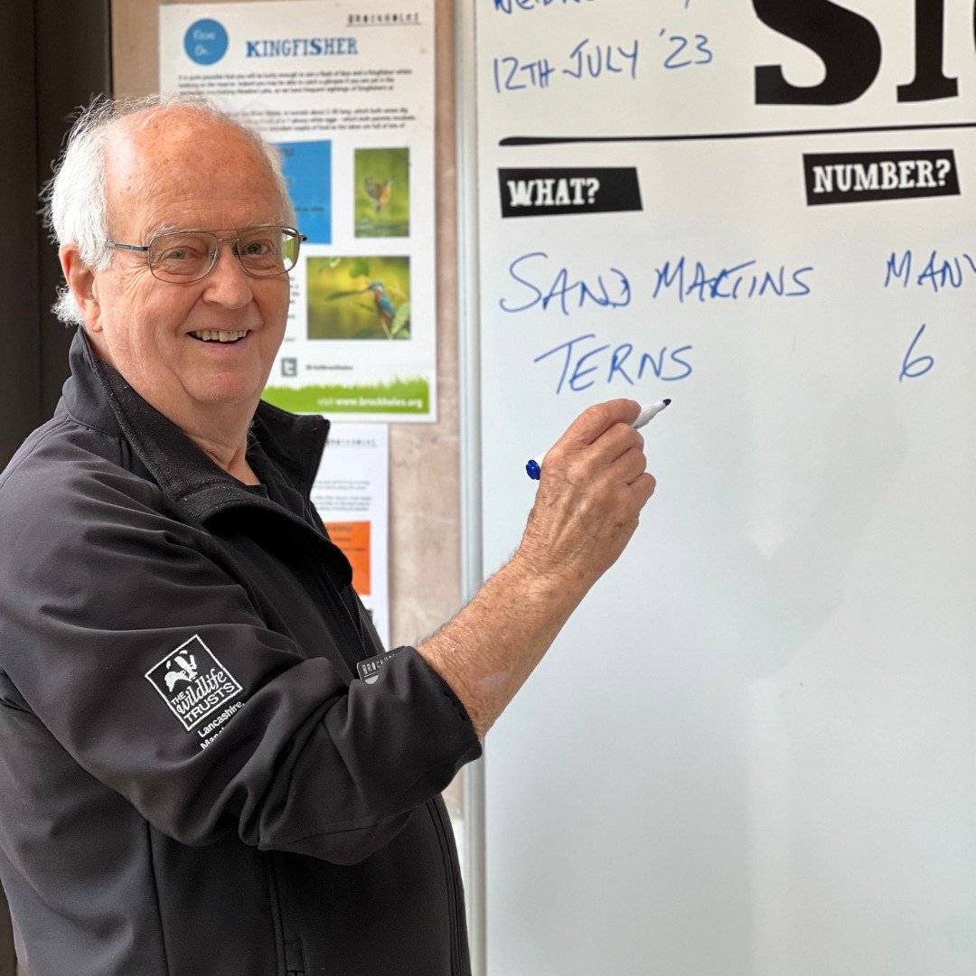 Not all volunteers wear wellies! 👨‍👩‍👦 

Here at Brockholes we have a number of opportunities available to suit all prefrences and abilities. Whether you’re a people person or handy with a set of tools, there’s a volunteer role for you!

Learn more here: bit.ly/3eCytVj