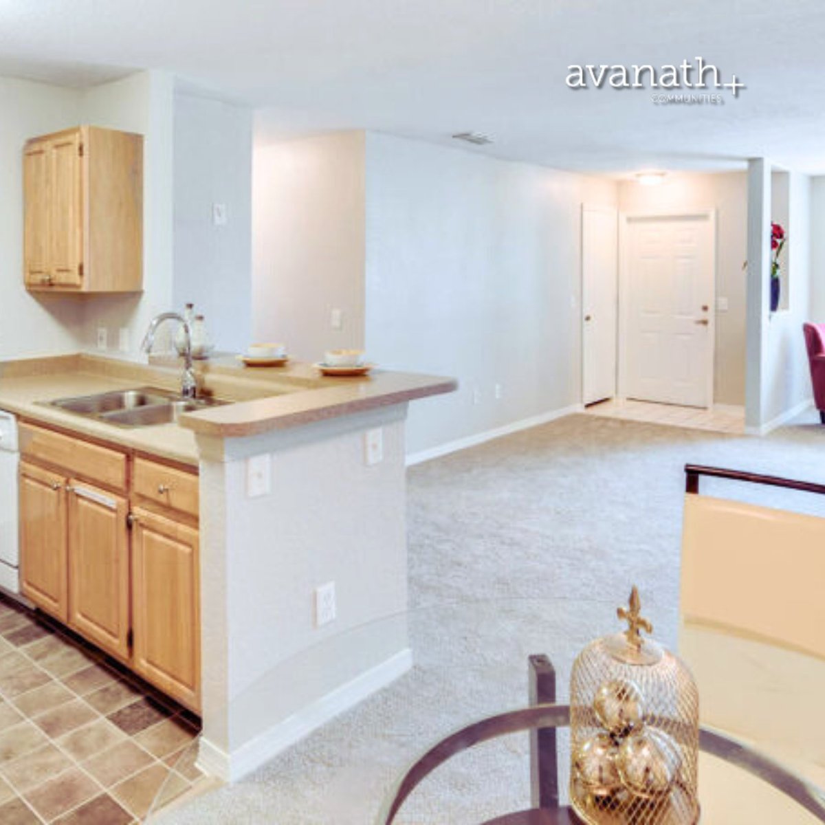 brookecommons_'s tweet photo. Our options for a new home at @brookecommonsapts will leave you confident that you found your perfect new home. From studios to spacious four-bedroom apartments, our layouts in #OrlandoFL have everything you need to live your unique lifestyle.
https://t.co/gf2axqOibQ https://t.co/Silw6xEWO7