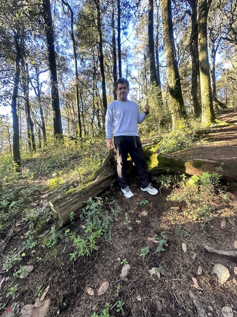pacar7733's tweet photo. Que rico caminar correr en el bosque. Olía riquísimo https://t.co/TlYDc9x3NA