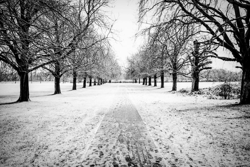 EalingCouncil's tweet photo. Get your cameras at the ready! 📱 📸 The Seasons of Ealing photography competition is making a comeback and it’s launching soon, watch this space! 🌻 🍁 ❄️ ☀️ #seasonsofealing https://t.co/WFavY8TNft