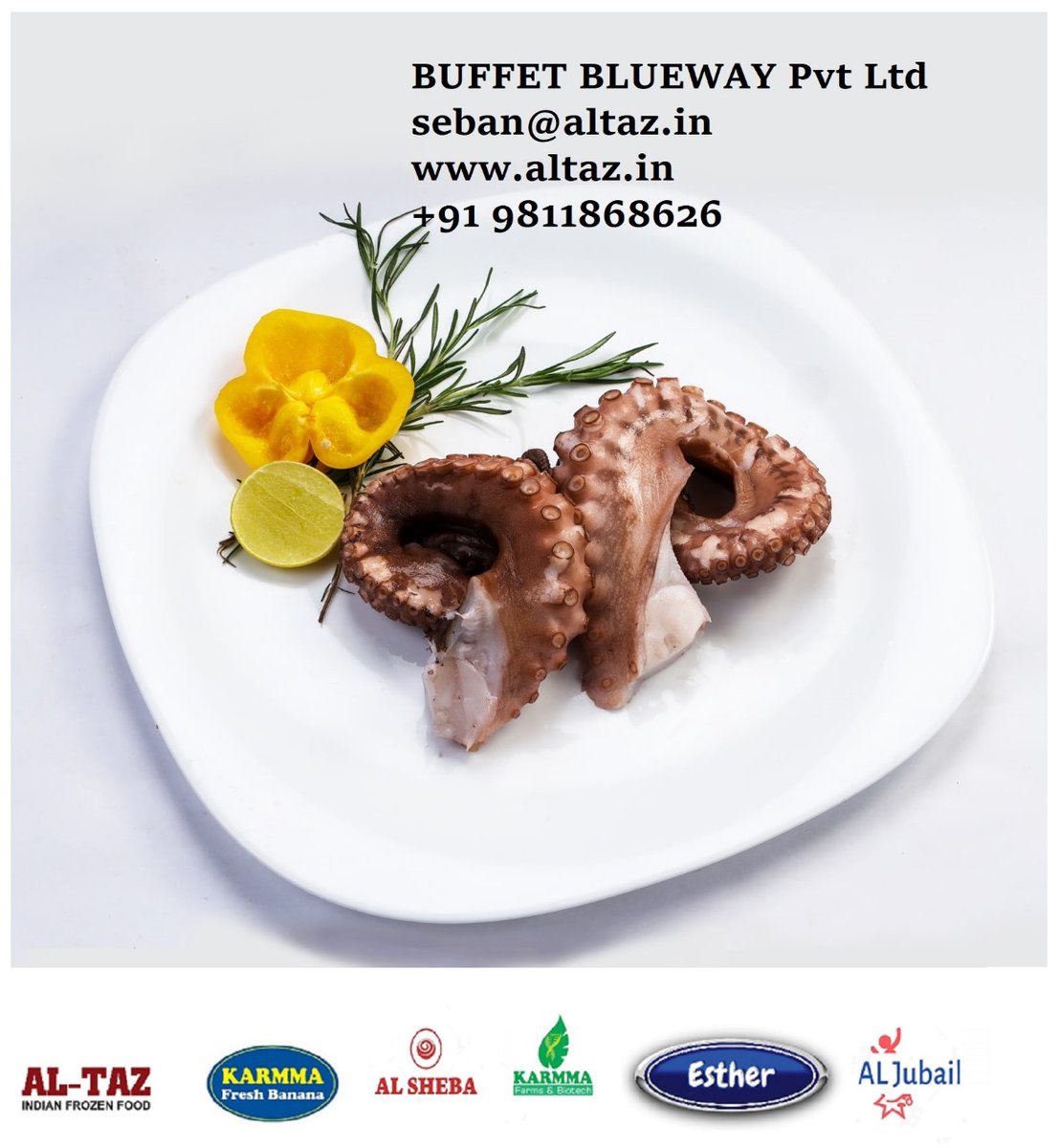 Buffet Blueway Pvt Ltd (@altazfrozenfood) on Twitter photo 