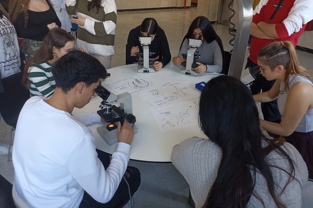 LinkiaFP tweet media