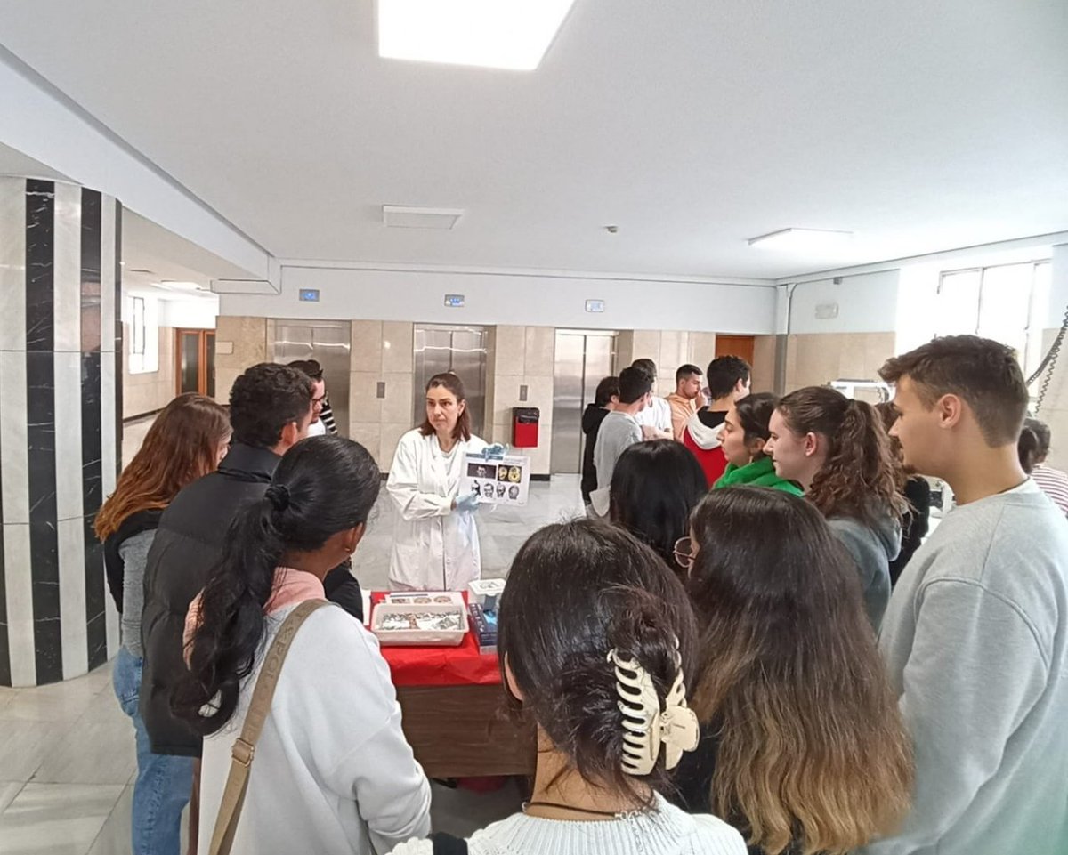 LinkiaFP tweet media