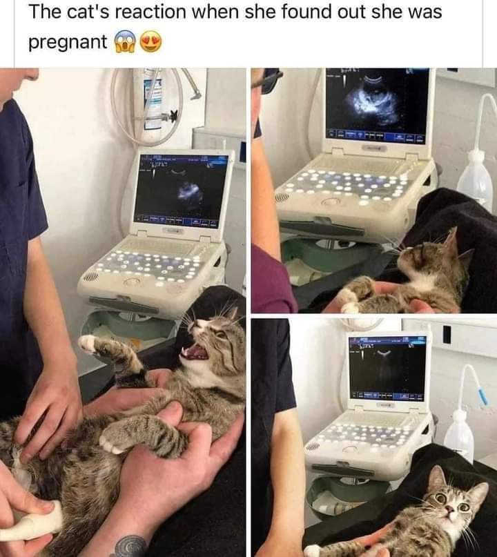 Messi Havertz tweet media