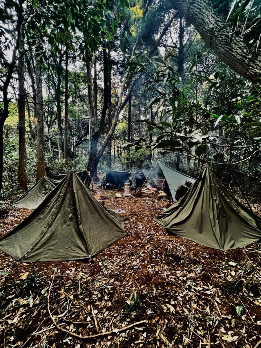 chicohinz's tweet photo. 開拓中の山。今回はいろんな繋がりのメンバーでグルキャンでした。
日常の世界では絶対に会えなかった人達。それぞれが��激を与え、もらって来ました⛺
年末に向けてもっと開拓がんばる！ https://t.co/XuifmyNvqy