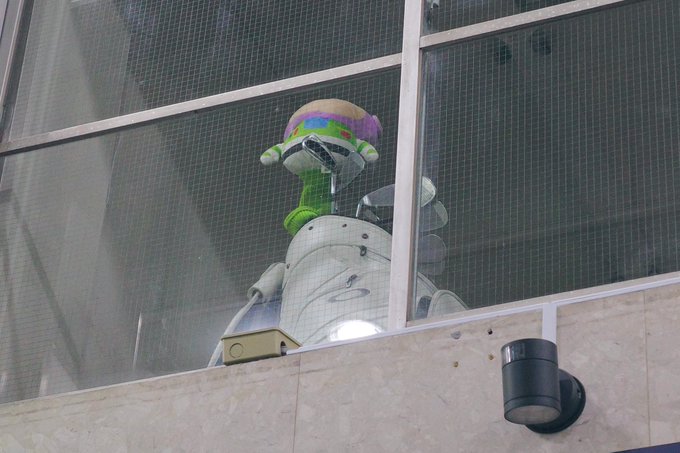 裸眼歩きのため、あとから見て鳥でないことに気付く 