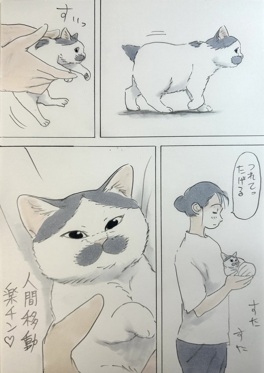 まいにちノリ吉