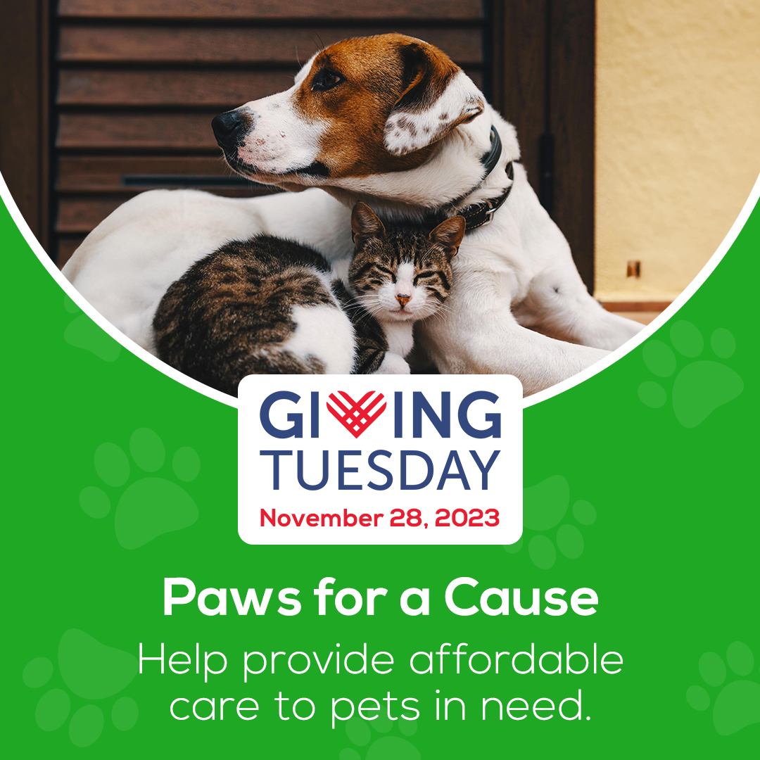 #PawsForACause this #GivingTuesday ❤️ and help Nutmeg provide affordable &amp; accessible care to pets in need. Your generosity is greatly appreciated. #Donate today: bit.ly/3qG7qPq

#nutmegspayneuter #nutmegclinic #givingback #stratfordcommunity #animalnonprofit #donation