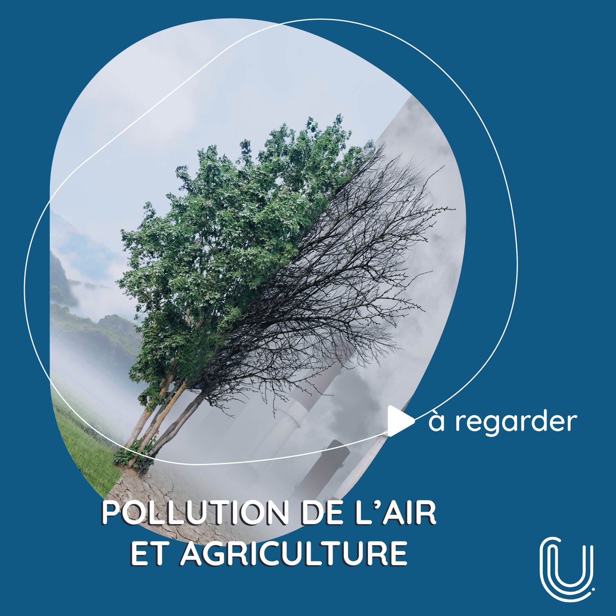 🔎#EntreHierEtAujourdHui Alors que l'état Français est condamné à payer pour n’avoir pas suffisamment lutté contre la pollution atmosphérique, revenons sur l'impact méconnu de la pollution de l'air sur la production agricole. 👉 canal-u.tv/117393 @univbordeaux