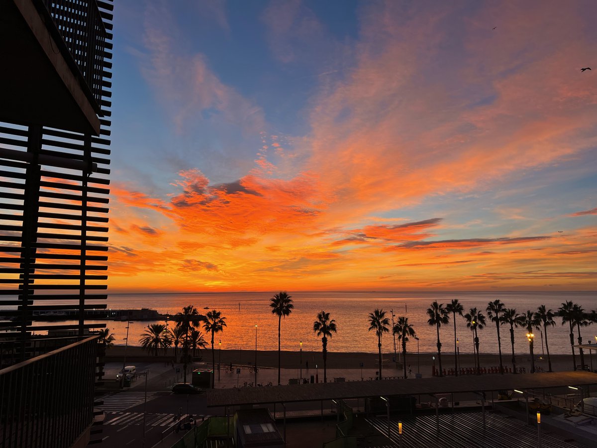 Sunrise from our lab window☀️
#prbb <a href="/the_prbb/">Biomedicina BCN</a>