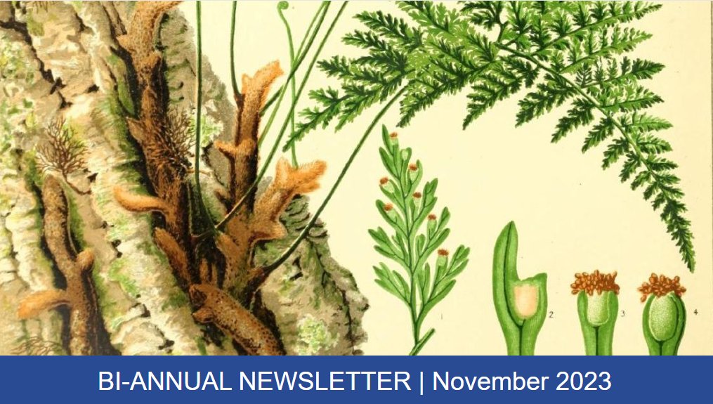 Our latest bi-annual newsletter is now available! From flora and fauna in New Zealand to new Affiliates in Belgium and the United States, don’t miss the latest news from #BHLib! ➡️ conta.cc/3QOdEWo