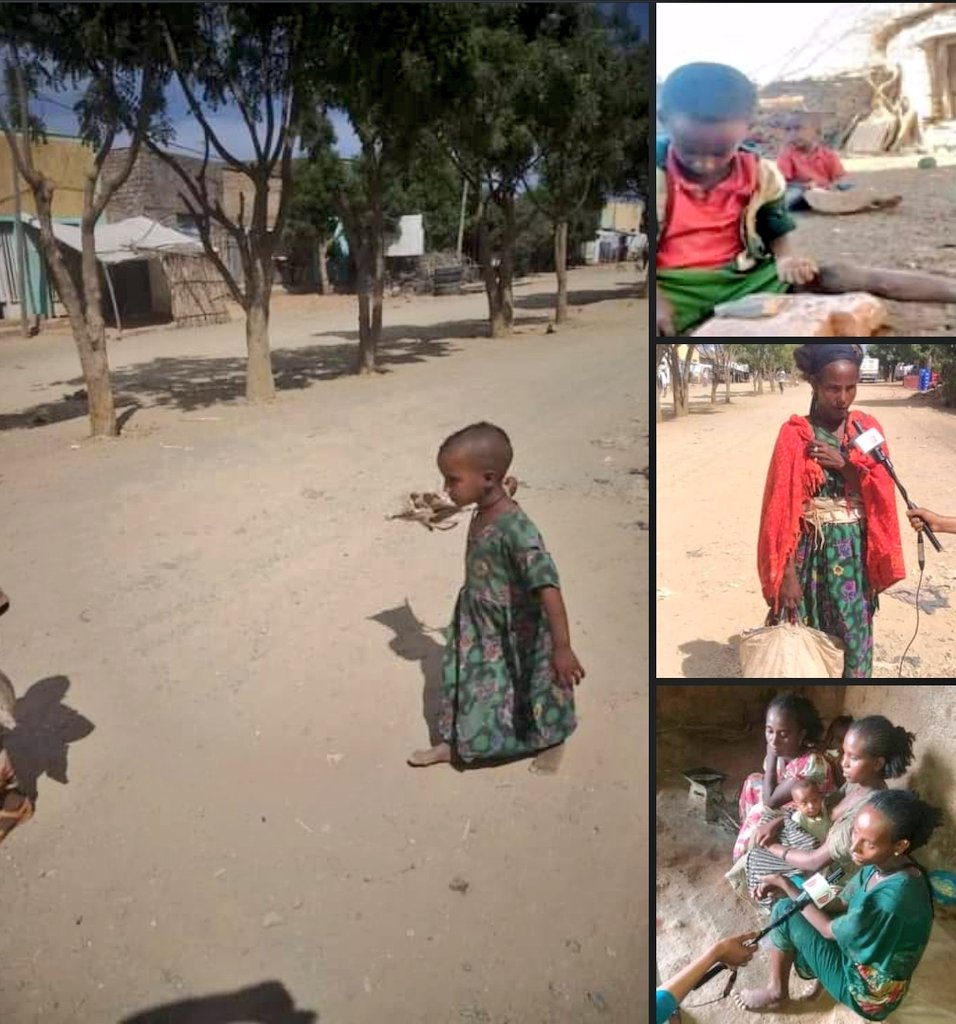 MuluDegol's tweet photo. In the 21st century, it is hard to forgive to believe that human life will be destroyed by hunger
It is a time when the world has stopped to see a disaster in Tigray from a terrible war to a worse life Justice for the people of Tigray
#ResumeAid4Tigray @USAID @WFP 
 @MuluDegol https://t.co/Os1Hs2ROH2