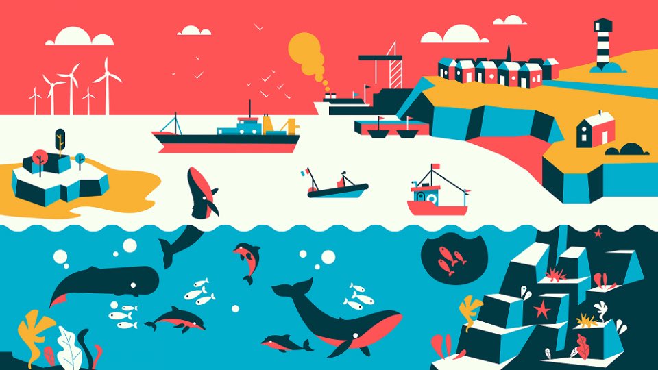 Comité France Maritime tweet media