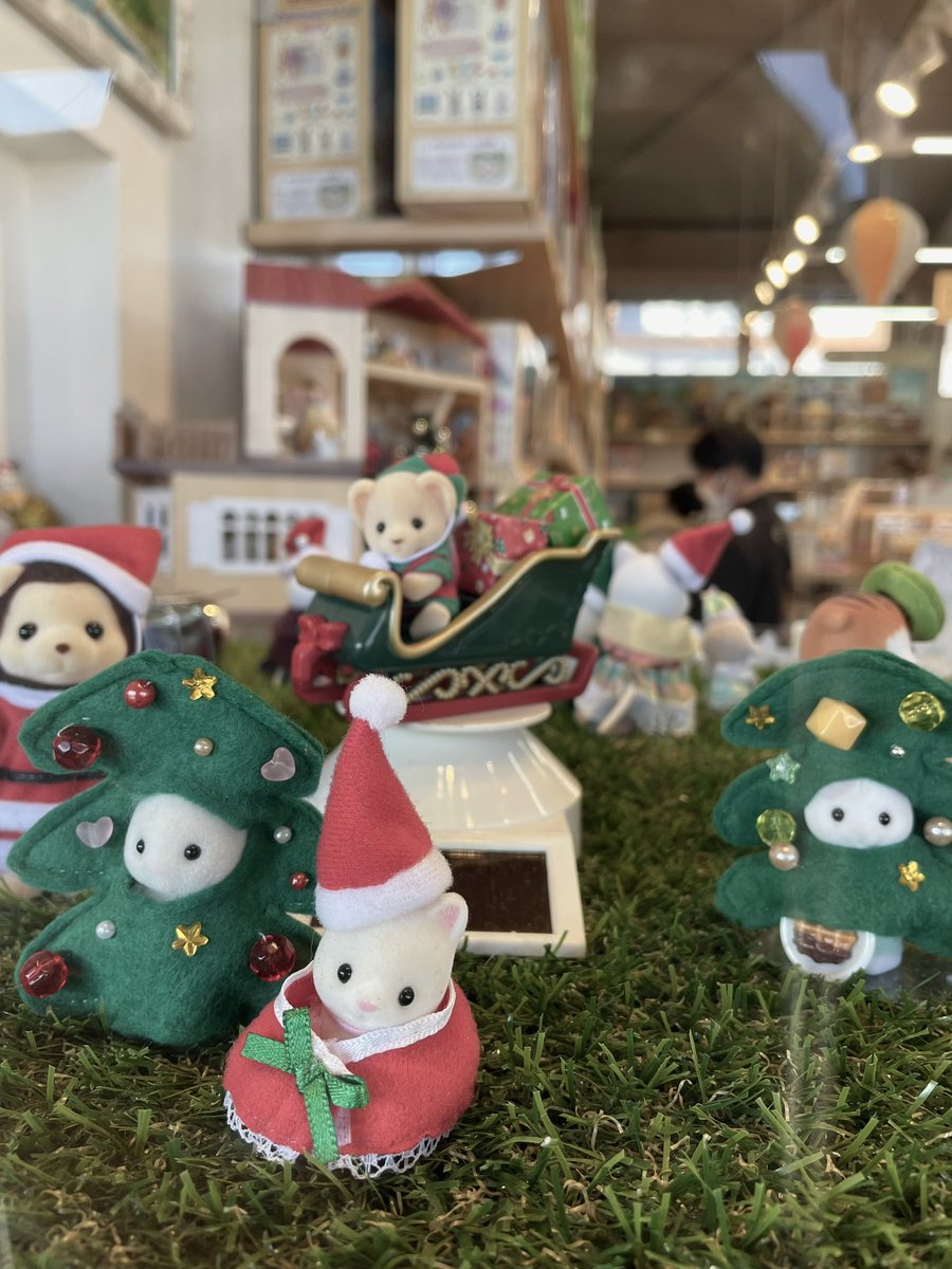 めちゃ寒かったけど空気が綺麗で最高だったな🙏💫