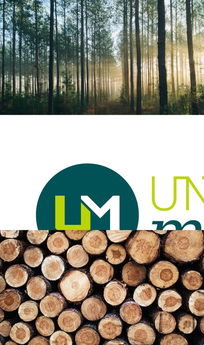 unemadera's tweet image. UNEmadera representa al sector de la #madera y #mueble de España (+26.000 empresas y +150.000 empleos).
Es el interlocutor del sector ante la Administración, sindicatos y organismos públicos y privados tanto a nivel nacional como internacional. 🪵🌎
#UNEmadera #modoMADERA