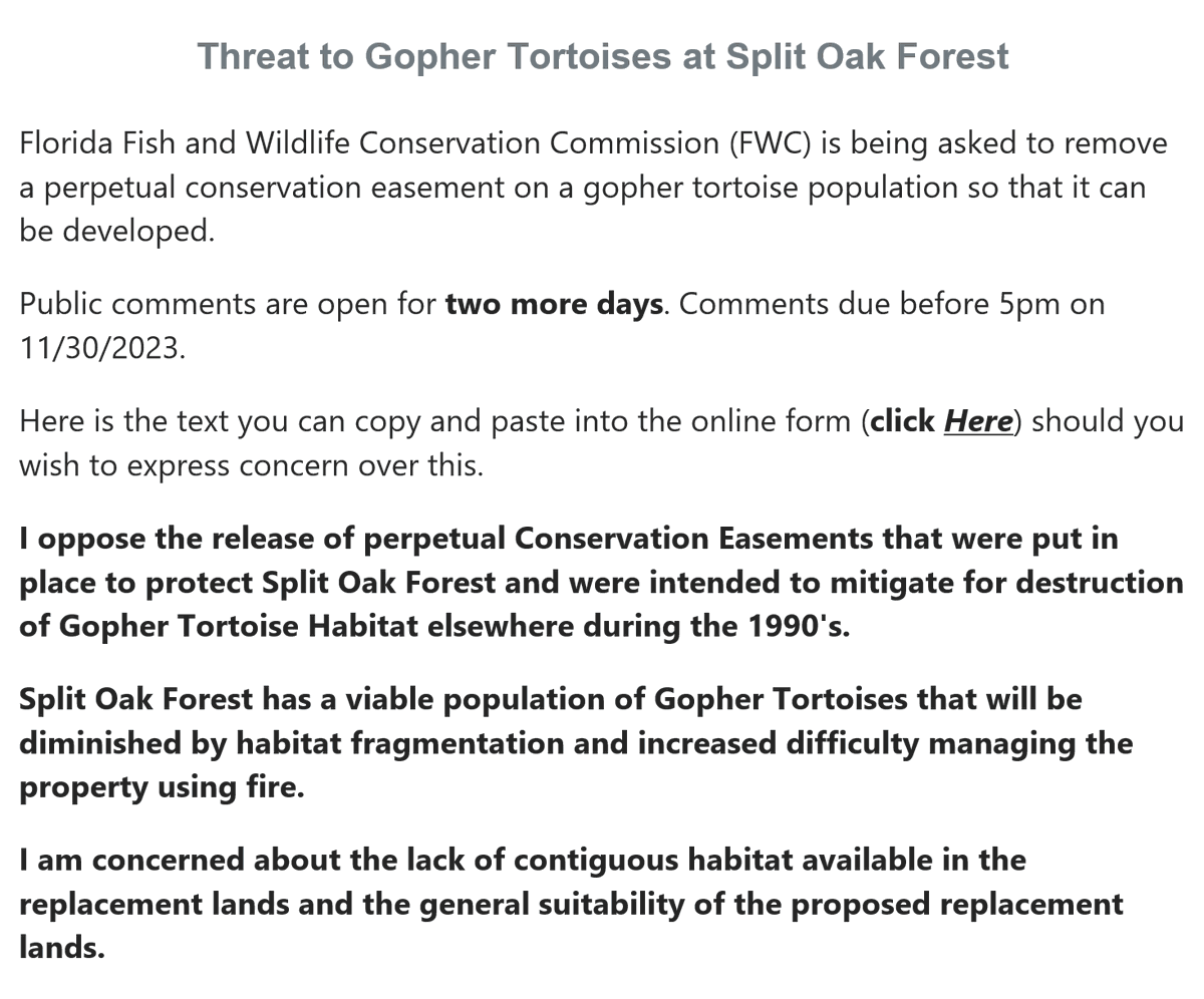 **URGENT!!** After putting Split Oak Forest in Central FL in a permanent environmental easement as mitigation for gopher tortoise habitat destruction elsewhere... developers want the State to dissolve it so development can occur there. Public comment ends 11/30. Link next. 1/?