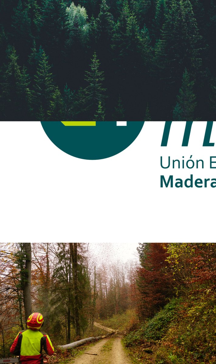 unemadera's tweet image. UNEmadera representa al sector de la #madera y #mueble de España (+26.000 empresas y +150.000 empleos).
Es el interlocutor del sector ante la Administración, sindicatos y organismos públicos y privados tanto a nivel nacional como internacional. 🪵🌎
#UNEmadera #modoMADERA