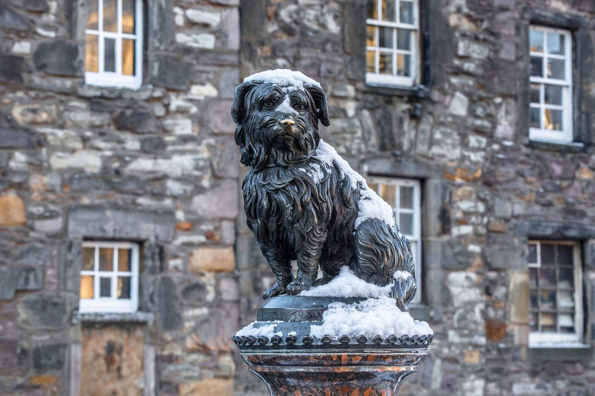EdinCulture's tweet photo. Day 28 #Museum30 #icon

Greyfriars Bobby is an Edinburgh icon. A beautiful tale of devotion and loyalty.  Visit our statue of Bobby on George IV Bridge, but do please leave his nose alone!

📸Graeme Gainey https://t.co/nkeRZXtrYI