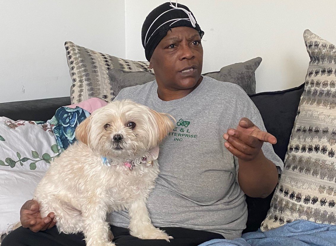 Beyond Fences tweet media