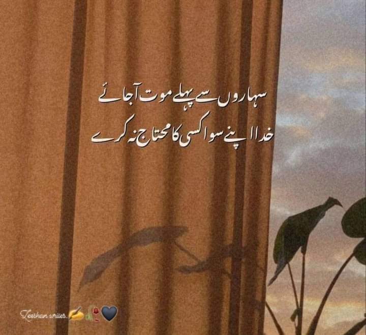 Gul (@fazalkarim15232) on Twitter photo 