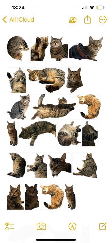 In case anyone needs cheering up