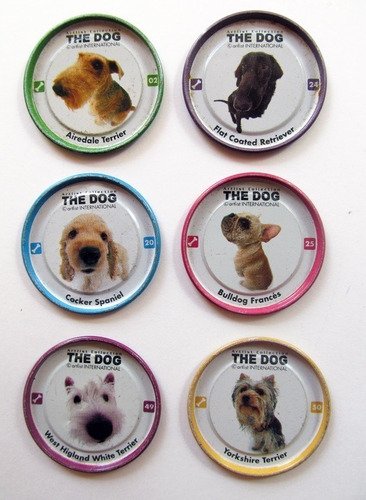 murielitamiamor's tweet photo. hoy me desperté pensando en el maravilloso mundo de las figuritas, tazos y llaveros de perritos cabezones. extraño ser pequeña. https://t.co/M9jhjnBlZc