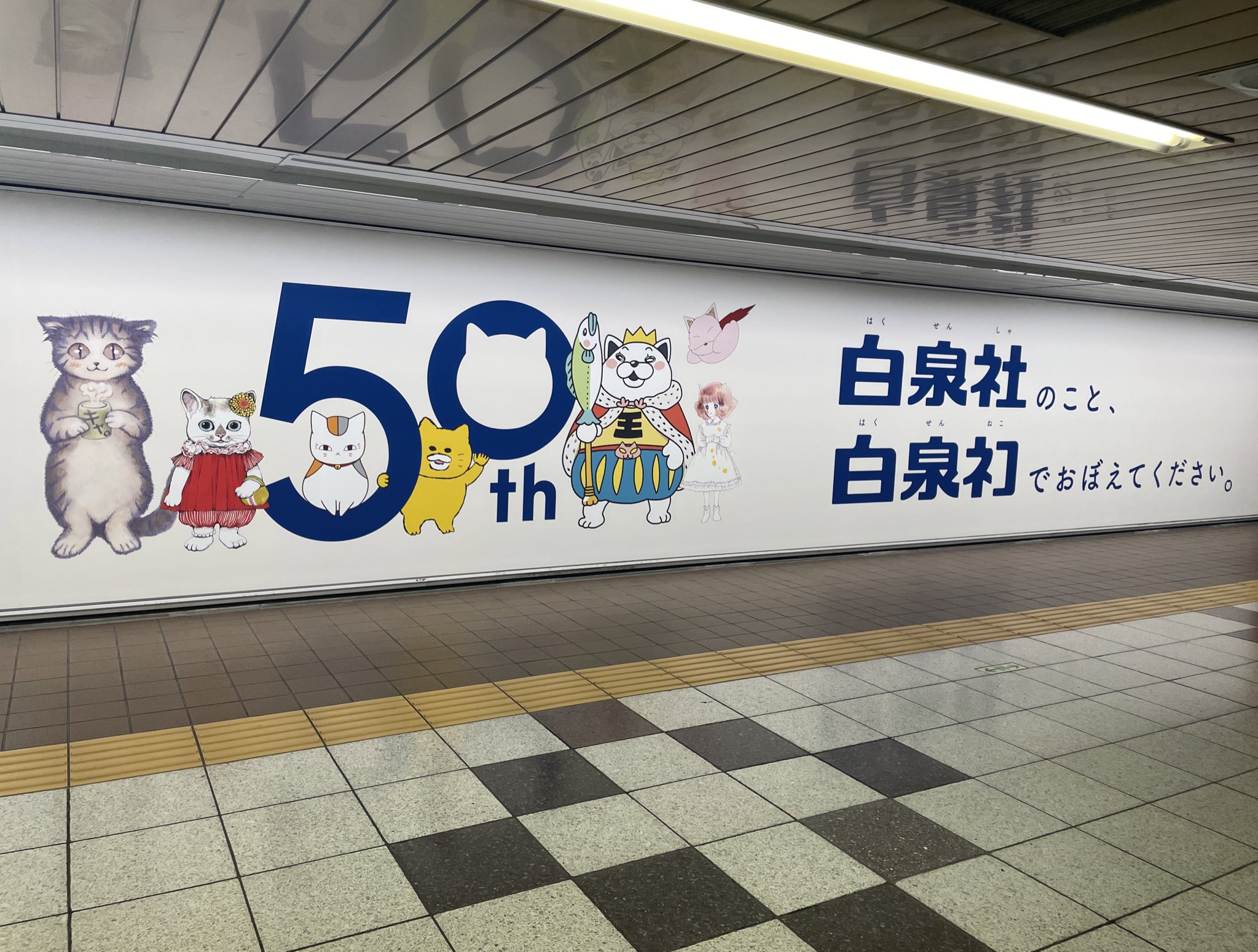 白泉社　50年史 白泉社50年史