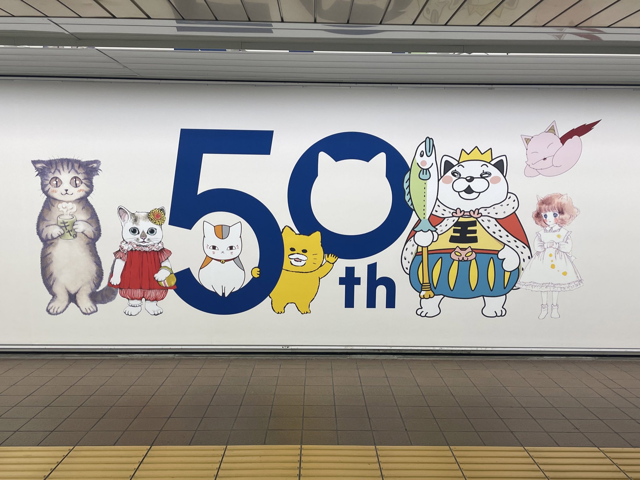 白泉社 50年史 白泉社50周年 - Search / X