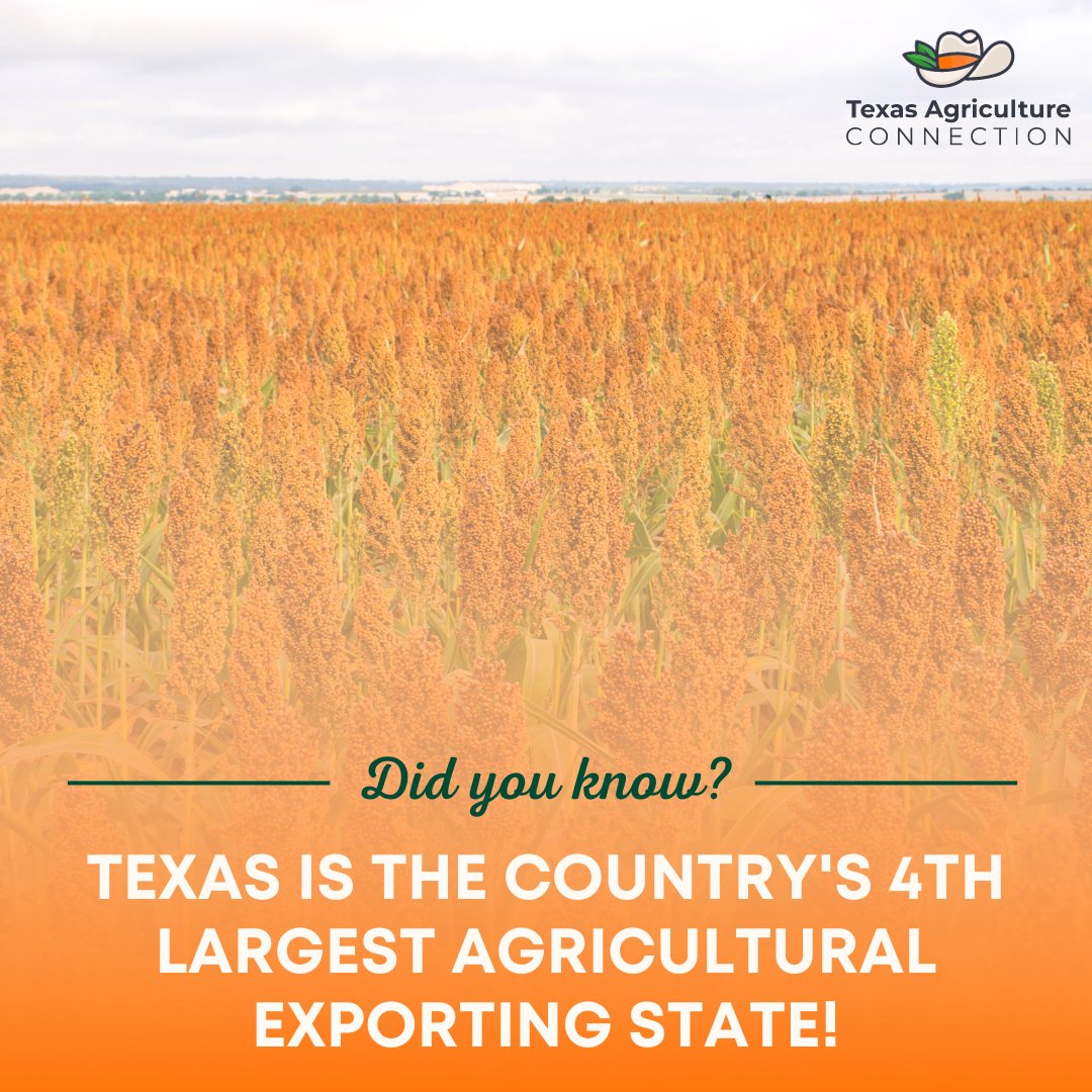 Texas Agriculture Connection tweet media