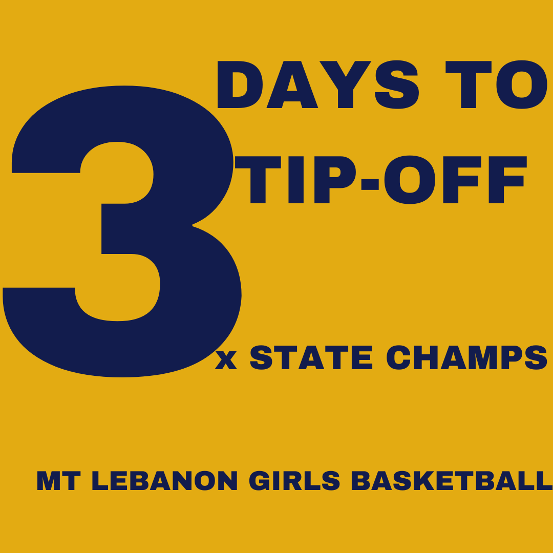 Mt. Lebo Girls Hoops tweet media