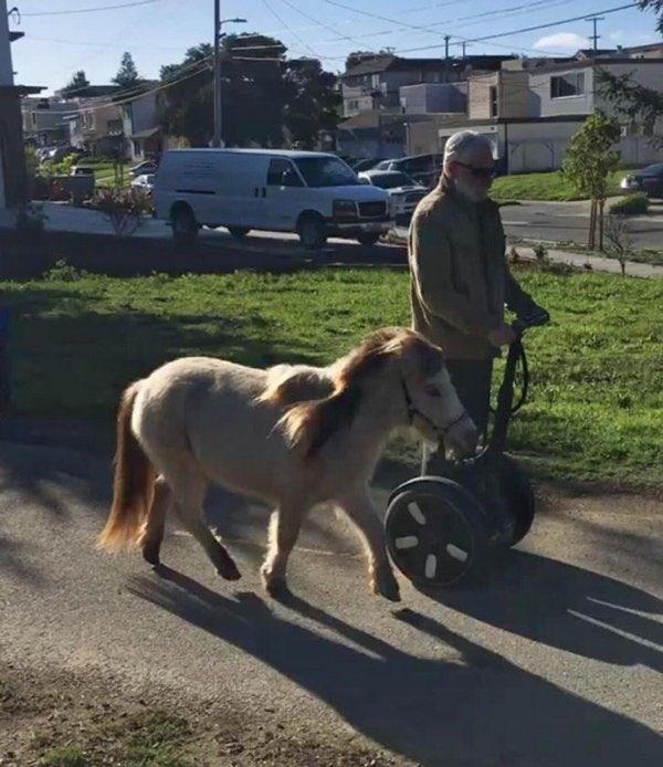 the community theater’s production of ben-hur is gonna be 🔥