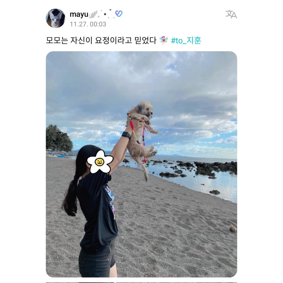 도영이의누나 tweet media