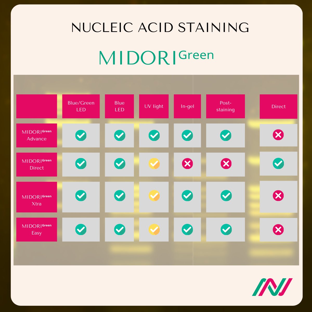 NipponGenEU's tweet image. 💡 Ever wondered what would be the perfect match for our 𝗕𝗹𝘂𝗲/𝗚𝗿𝗲𝗲𝗻 𝗟𝗘𝗗 #geldocumentation systems? The 𝗠𝗜𝗗𝗢𝗥𝗜ᴳʳᵉᵉⁿ #DNA / #RNA line stains!
Give it a try and get convinced on your own by claiming your free sample: nippongenetics.eu/en/products/el…