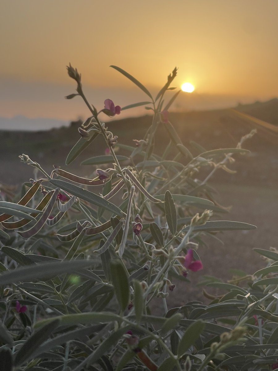 ما ضرّكَ لو أطفأ هذا العالم أضواءه كُلَّها في وجهك ، ما دامَ النُّور في قلبك متوهجاً .

― جلال الدين الرومي.