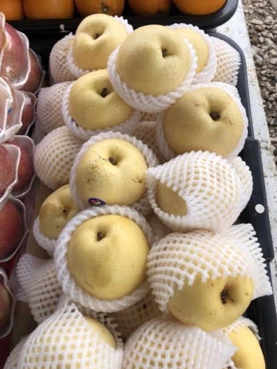 MalaysianFoods's tweet photo. PENAWAR BATUK BERKAHAK GUNA BUAH PEAR..

Patutlahh matsaleh suka kukus/rebus buah pear ni, banyak manfaat rupanya 😃 petua ni boleh diamalkan oleh kanak2 hingga org tua. 

Sharing is Caring❤️ https://t.co/nlQbfzaC5B