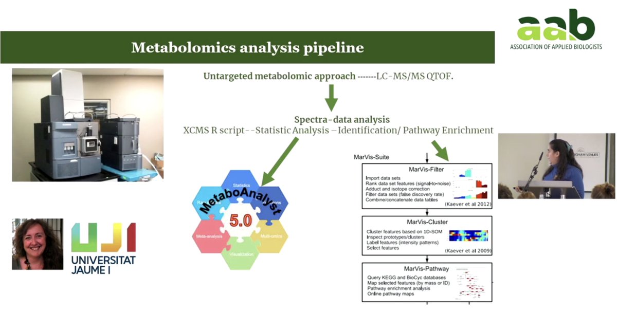 AnnalsApplBio's tweet photo. 🍒 Cherry Trees to the rescue: the Metabolomic Fingerprint of Enhanced Resistance to Ash Dieback by Neighbouring Cherries.
@ELunaDiez @unibirmingham
#NationalTreeWeek #aabtrees https://t.co/Rv14lbN0RM