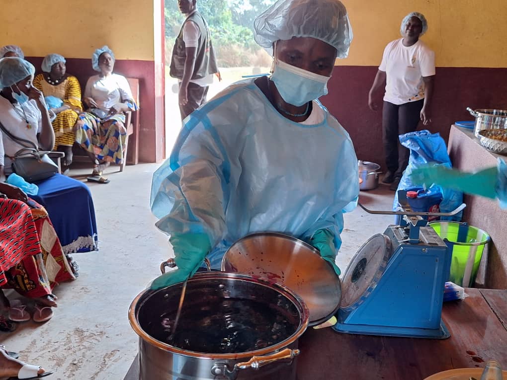 Jamilafondation's tweet photo. Celebrating empowerment in Gbanworia, Faranah! Thanks to #RioTIntoSimFer's support, beneficiaries showcase skills in crafting Guinea sorrel syrup and juice. Proudly prepared by them, these products pave the way for entrepreneurial ventures, reducing poverty among women. #SPI_TGC https://t.co/eHbSAoRCNb