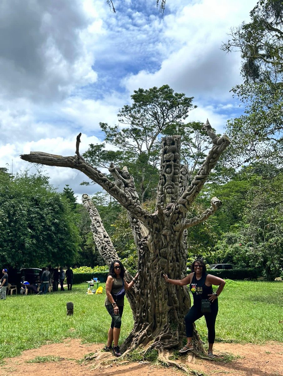 Did you know Aburi Botanical Gardens, founded in 1890, provided a colonial escape with the iconic 'Dining Table Tree.' 

#Travelfacts #AffordableEducation #BibleWichapas #HistoryLover #BlameBawumia #Bhimconcert23 #AfrafrantoWalkWithAlanCASH #ThisIsTema #History #TimehTours