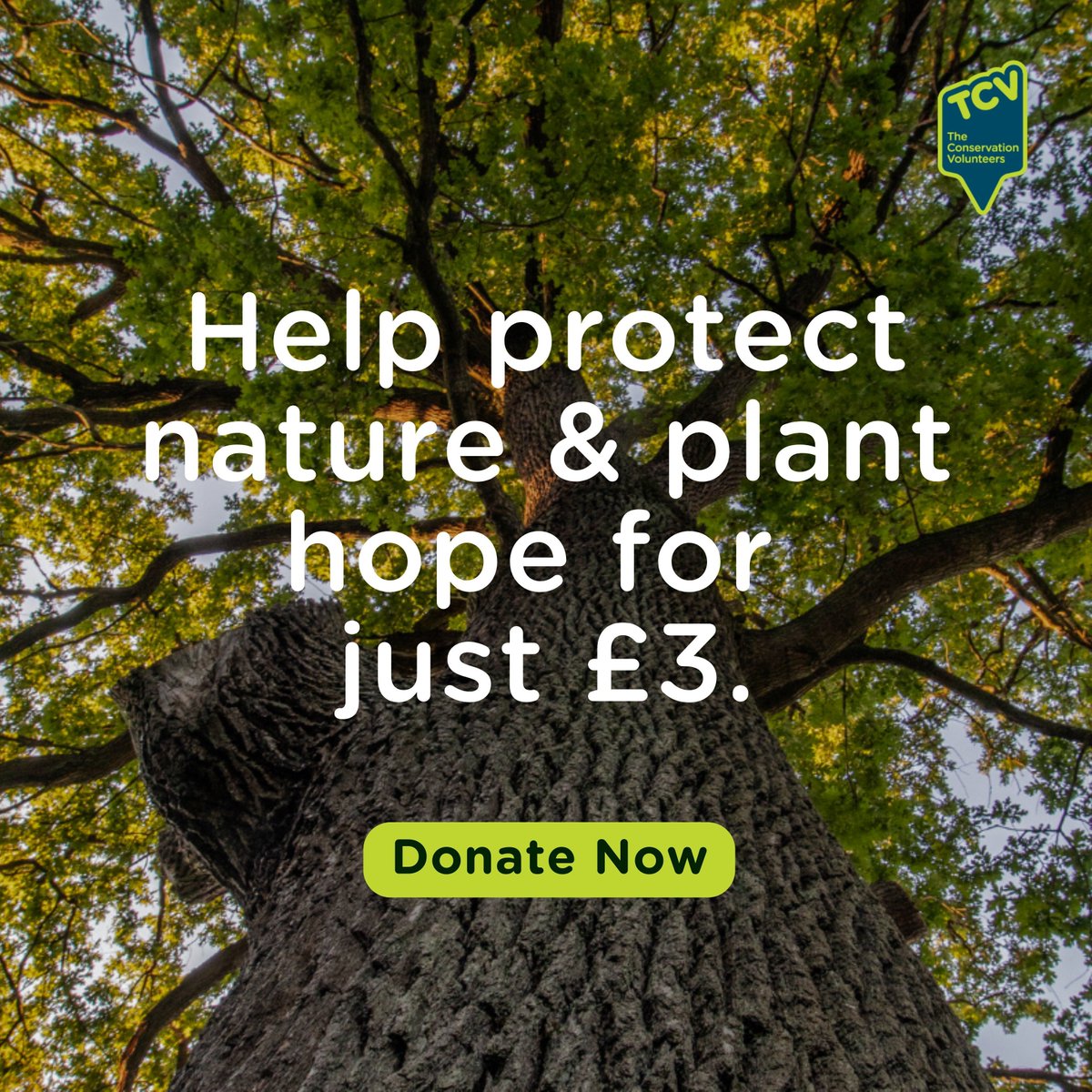 The Conservation Volunteers (TCV) tweet media