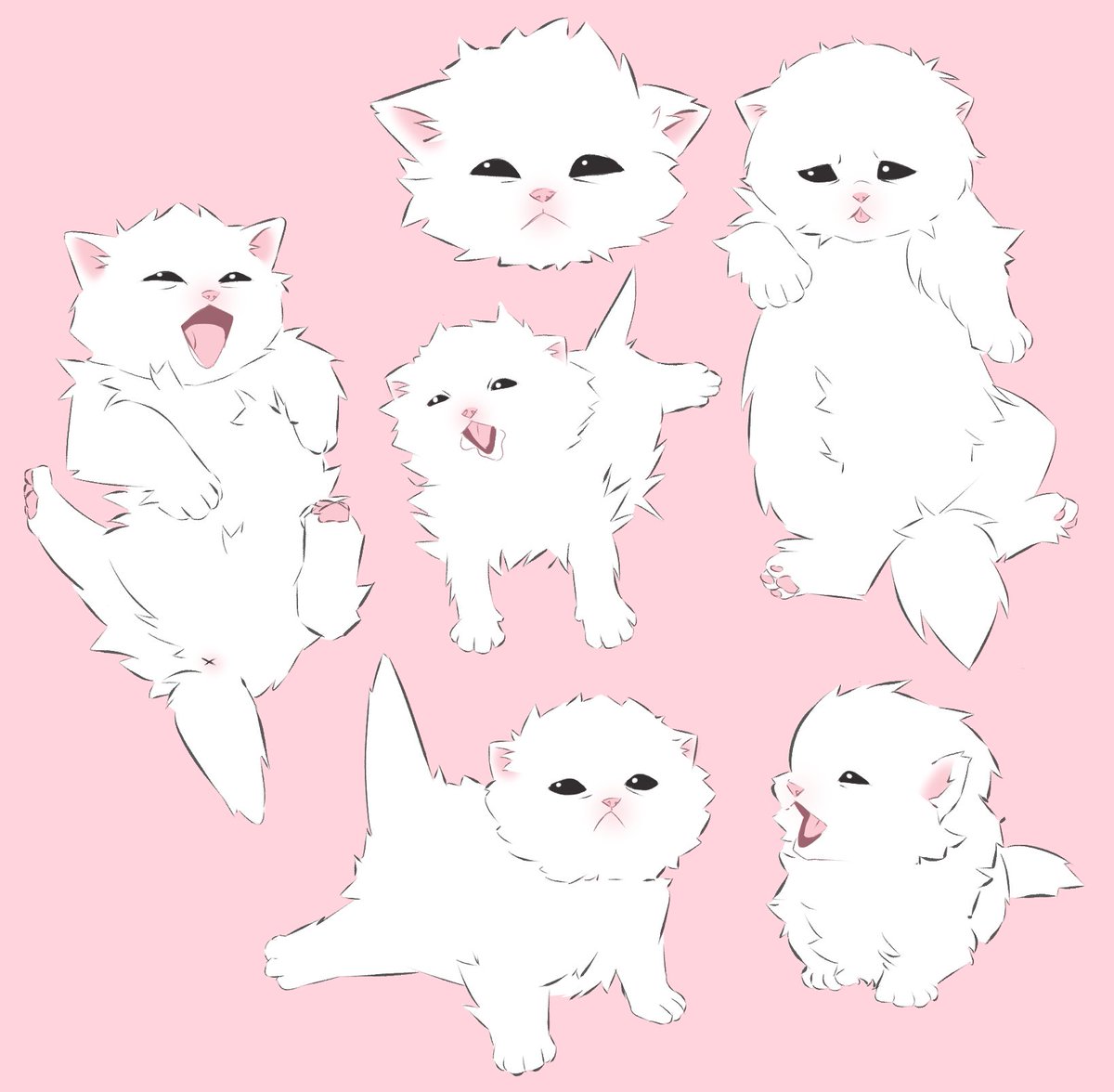 some babykittens