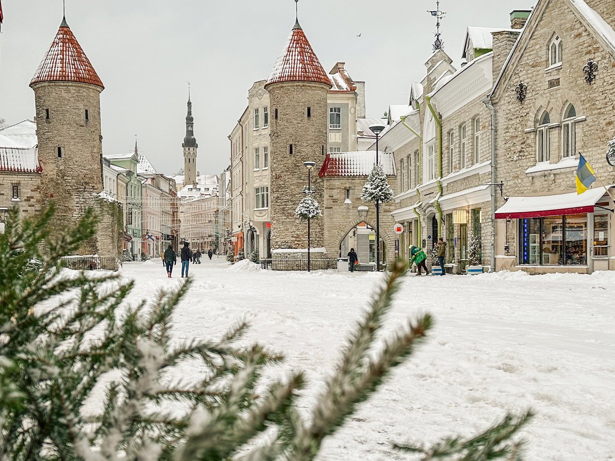When snow happens ❄️
#VisitTallinn #Europe #VisitEstonia #snowday #WINTER #Travel
