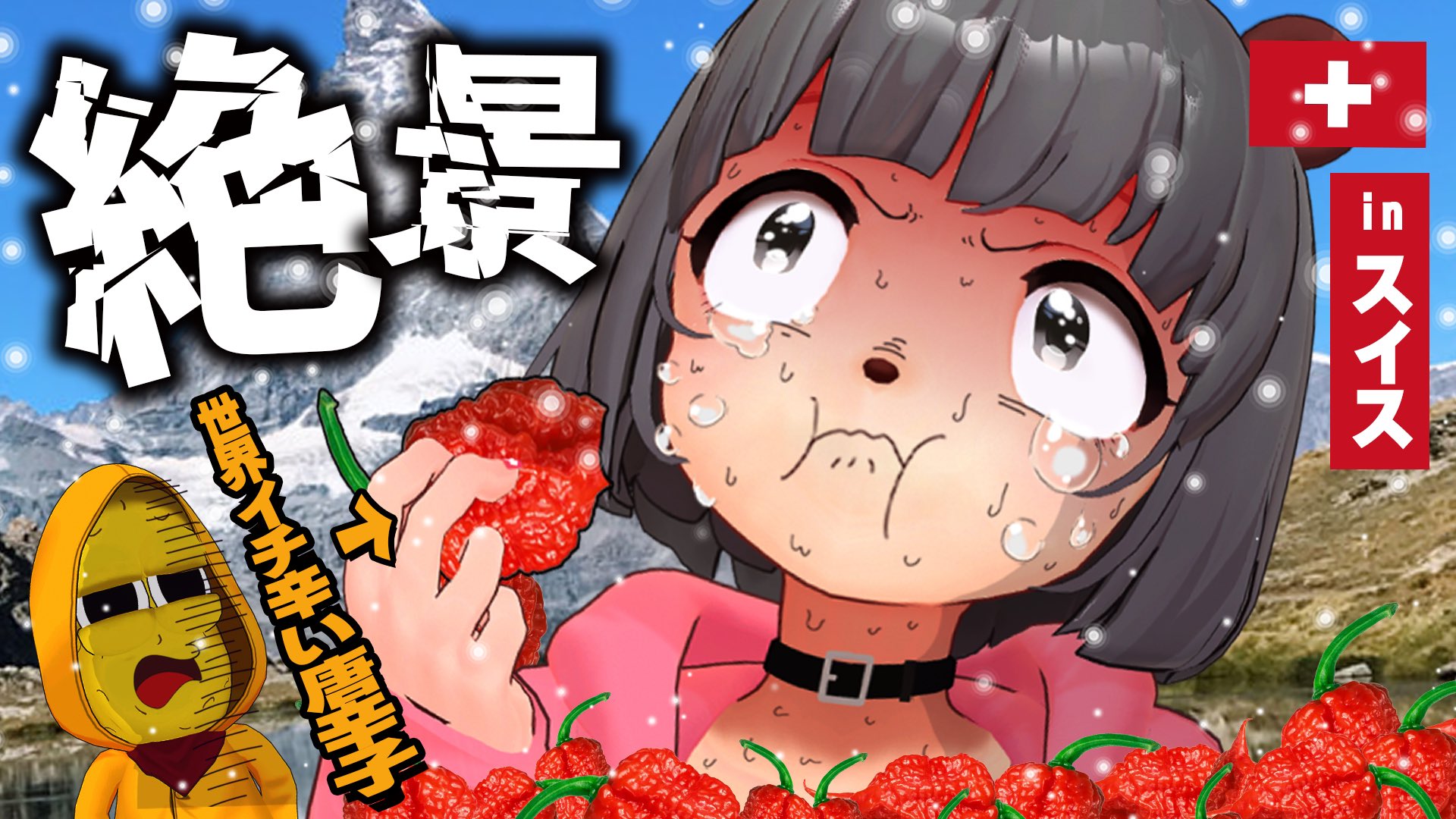 Amazon.co.jp: クマとたぬき (ピクシブエッセイ) : 帆: 本