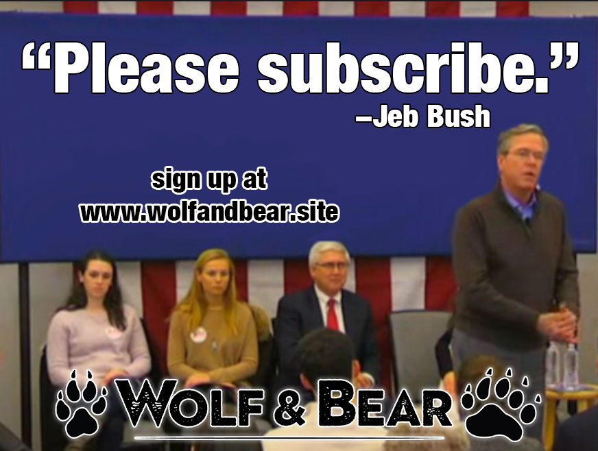 Wolf & Bear tweet media