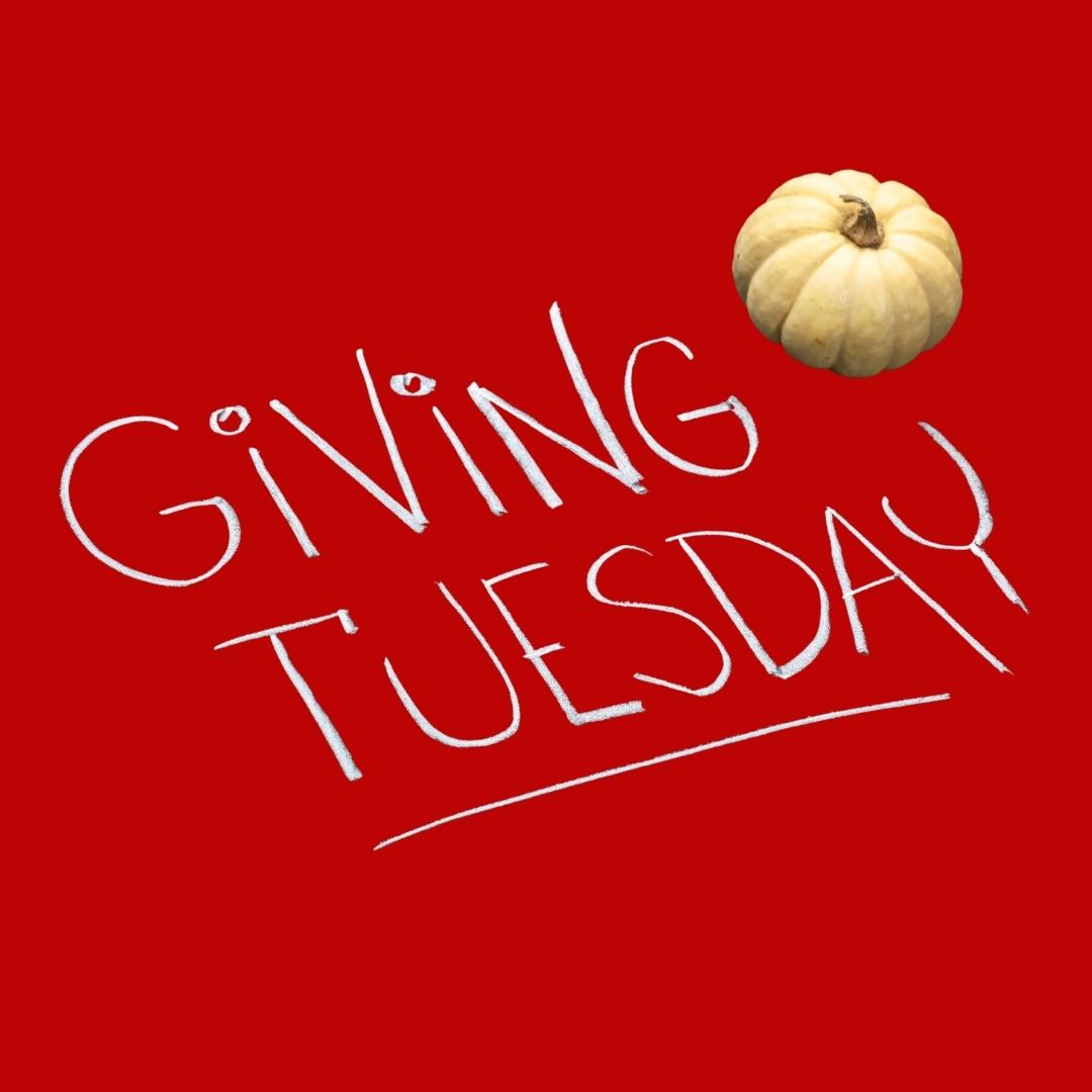 WinWithDebbieG's tweet photo. On Giving Tuesday, let's give the gift of knowledge. 📚❤️ Consider donating a copy of your favorite book to your local library, a school, or a friend who could use a boost of inspiration. Knowledge is a gift that keeps on giving! https://t.co/RniC9TTlGX
