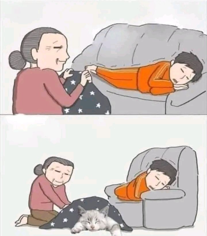 bui656doan's tweet photo. Thật cảm động khi bà đắp chăn  cho cháu ruột 🥰 https://t.co/Ehw8ABQo1Q