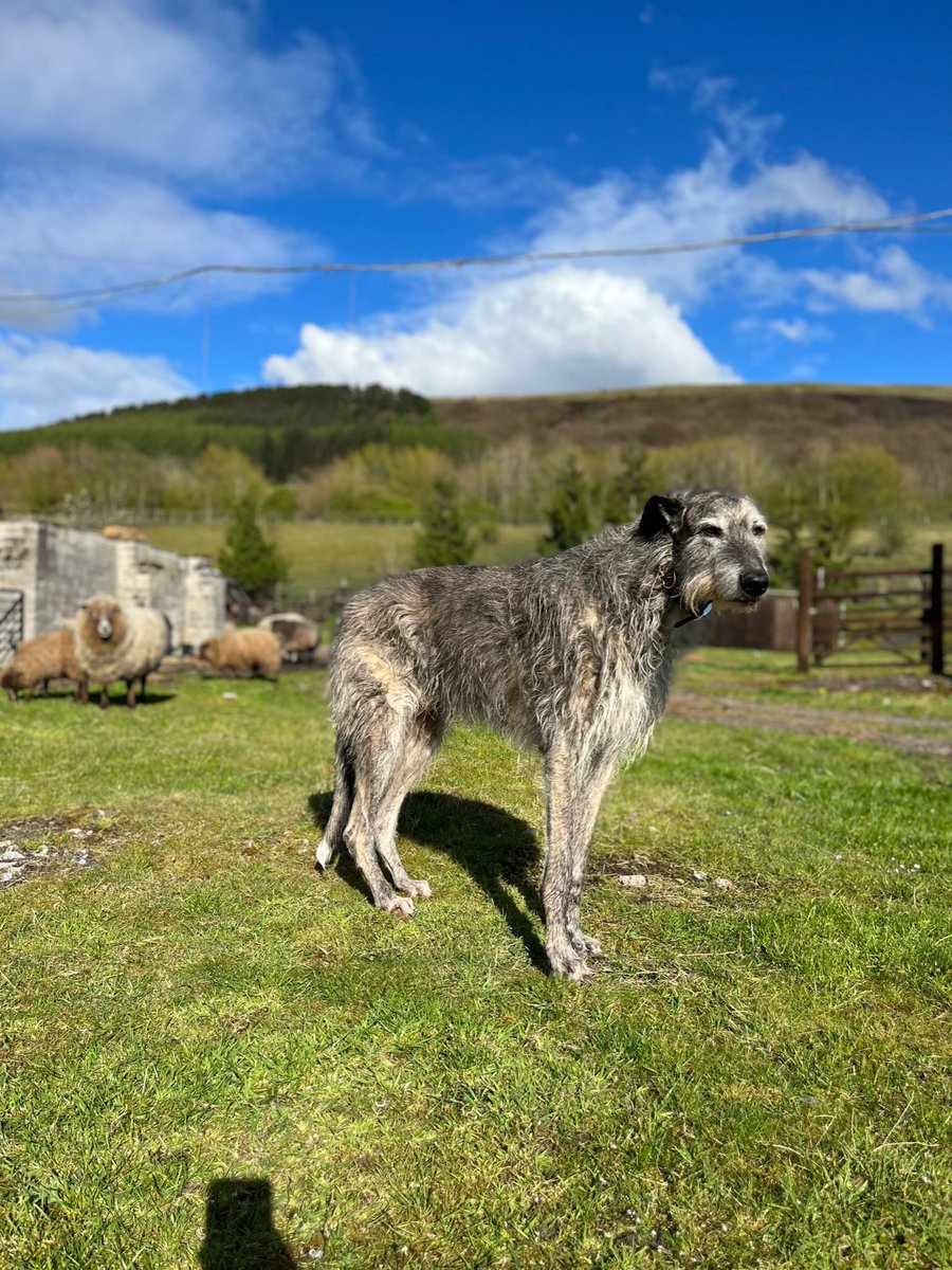 Jamie Anderson tweet media