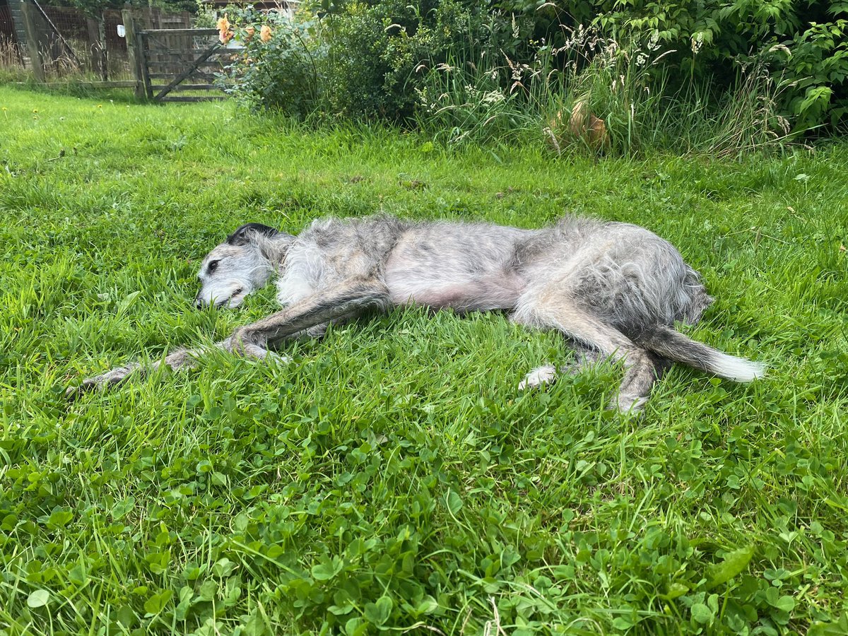 Jamie Anderson tweet media