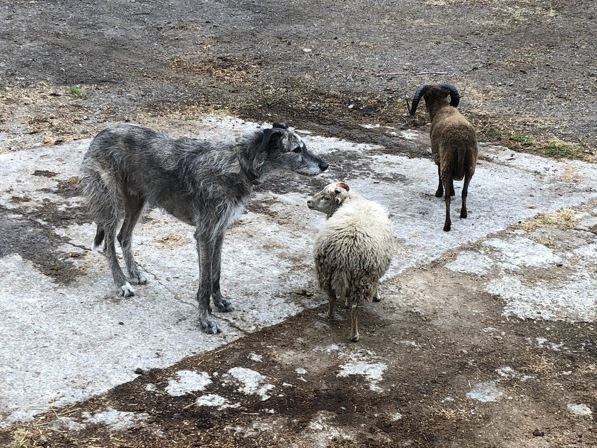 Jamie Anderson tweet media